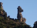 DSCF1183.jpg