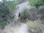 DSCF1184.jpg