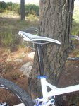 NOVES 029.jpg