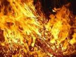 fuego004[1].jpg
