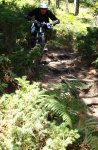 whistler 2009.jpg