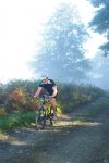 BTT 022.jpg