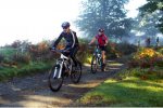 BTT 040.jpg