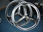 DSC03730.jpg