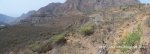 Panorama 3.JPG