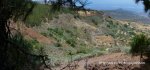 Panorama 9.JPG