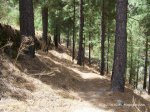 100_3917.JPG