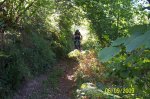100_1058.jpg