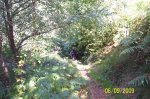 100_1059.jpg