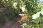 100_1060.jpg