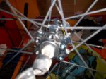 100_2162.jpg