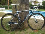 MADONE_1.JPG