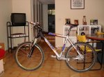 DSC00214.JPG
