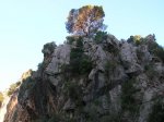 DSCN7609.JPG