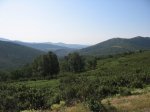 mini-IMG_5248.JPG