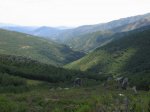 mini-IMG_5268.JPG