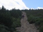 mini-IMG_5271.JPG