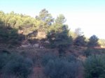 Imagen055.jpg