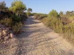 Imagen057.jpg