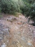 DSC00059.jpg