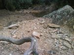 DSC00062.jpg