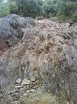 DSC00063.jpg