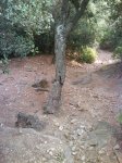 DSC00065.jpg
