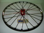 DSC06844.jpg