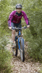 pirineo0.gif