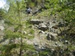 pirineo1.jpg