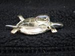 tortuga terrrestre3.jpg