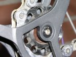 moots 011 - copia.JPG