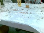 25082009(058).jpg