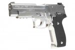 665673_630701_tmsigp226chrome.jpg