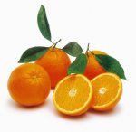 oranges-1.jpg