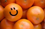 oranges-3.jpg