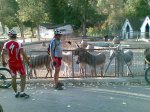 28082009(013).jpg