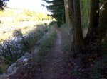 DSC00009.jpg