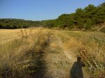 DSC00011.jpg
