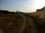 DSC00012.JPG