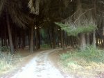 DSC00015.JPG
