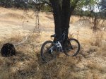 mi bike(L).jpg