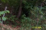 100_1084.jpg