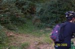 100_1090.jpg