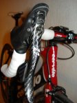 DSC01453.jpg