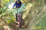 100_1103.jpg