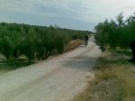 Imagen1105.jpg