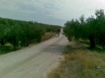 Imagen1106.jpg