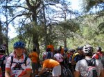 C.Bike Cazorla Carpe Diem 020.jpg