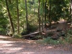 riells-st fe-arbucies 09 006.jpg